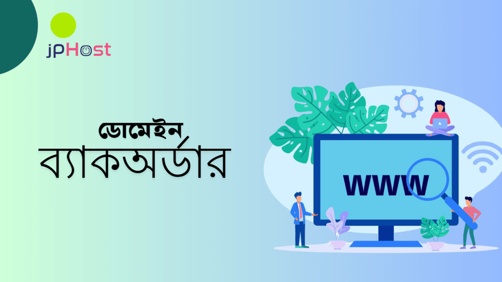 ডোমেইন ব্যাকঅর্ডার